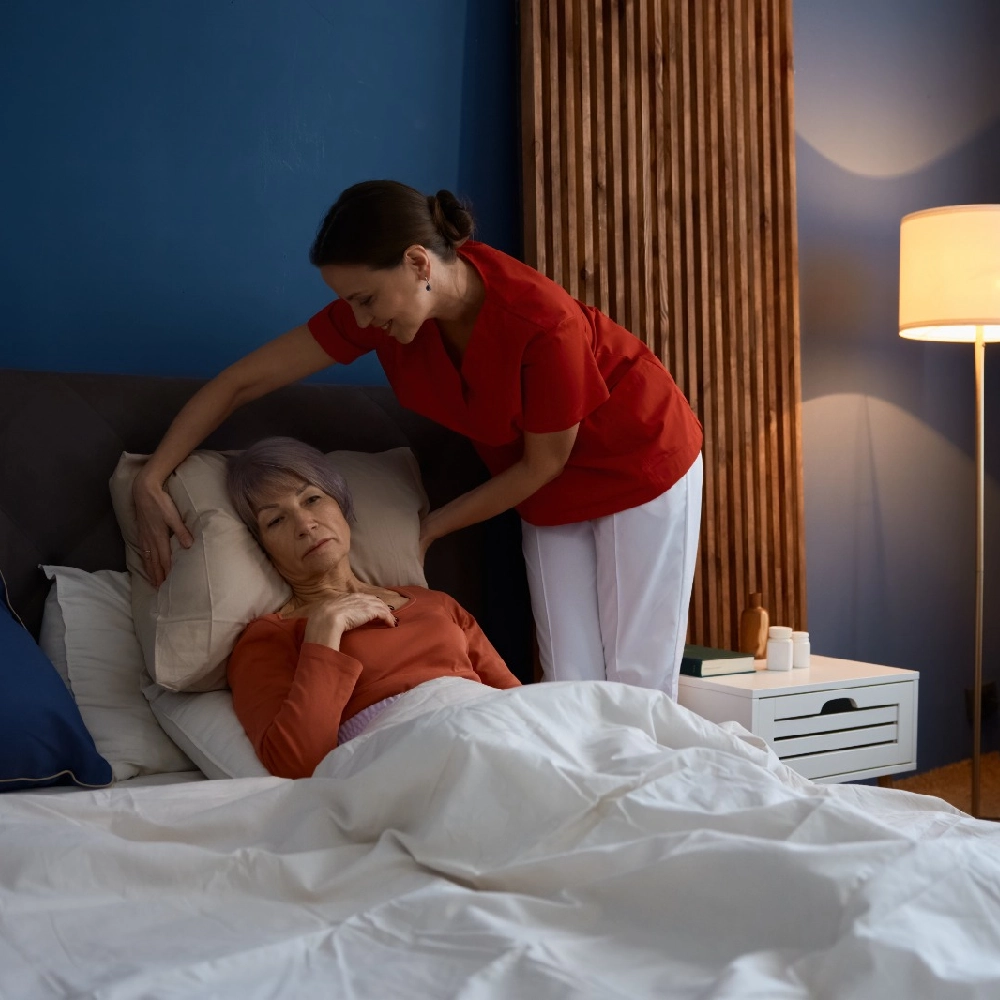 ENDIS Practice Standards